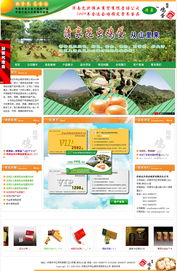 濟南允升偉業(yè)商貿(mào)有限責任公司網(wǎng)站建設