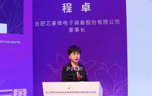 安徽六安女首富程卓發(fā)家史 打造國產(chǎn)光刻機(jī)龍頭企業(yè),身價24億元