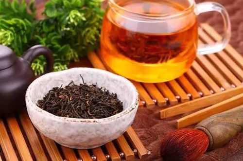 減脂普洱茶推薦 好喝又有效的精選品牌